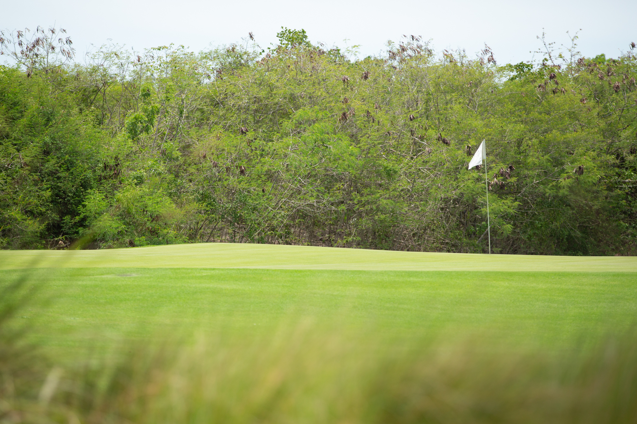 Campo de golf